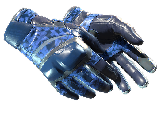 ★ Moto Gloves | Polygon