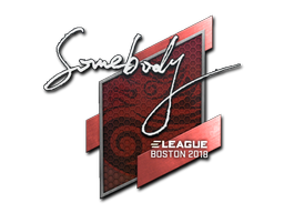 somebody | Boston 2018 | Sticker